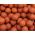  Pro Line Oilies Monstercrab 20mm
