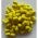 2.20 Baits Wafter 10 Mm Miere