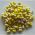 2.20 Baits Wafter 6 Mm Cocos-Banane,50 Ml
