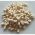 2.20 Baits Wafter 6 Mm Cocos