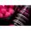 Aroma Korda Goo Pinkberry Smoke 115ml