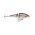 BX JOINTED SHAD RT