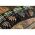 CLIP+VARTEJ KORDA PT MONT.PB PIERDUT 10BUC/PL