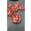 Fishmania Wafters No Flavour Red-White ,40 Ml