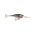 GLASS SHAD RAP GSR05 GBK