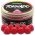 Haldorado Tornado Wafter Punch/Mint 12mm