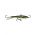 JIGGING RAP 5 - W5 PKL
