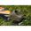 METHOD FEEDER GURU HYBRID IN LINE PELLET