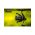 MULINETA OKUMA OBSIDIAN 12000 - OSD12000-35AY - Model 2023