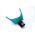  Stonfo Cupa Drennan SOFTFEED