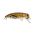 Pro Grasshopper S / RCK