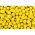 Pro Line  Boilies Ananas&N Butyric 20mm,5kg