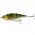 SAVAGE GEAR 3D ROACH JERKSTER 11,5CM/39G 