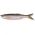 SAVAGE GEAR XX SHAD SAVAGE BLEAK REAL TAIL 8CM/3G 04 5BUC/PL