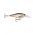 SCATTER RAP SHAD DEEP 07 ROHL