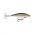 SCATTER RAP SHAD SCRS07 S