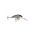 SHAD DANCER SDD04 ROL