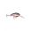 SHAD DANCER SDD04 SFL