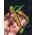 Shad Fox Zander Pro Lemon Tiger,14 Cm 3buc/plic