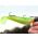 Shad Fox Zander Pro UV 12cm 5buc/plic