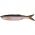 Shad Savage Gear SAVAGE GEAR F1.SG.50446