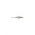 SHADOW RAP SDR07 BG