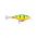 SHALLOW SHAD RAP SSR07 FP