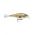 SHALLOW SHAD RAP SSR09 CARP