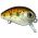 STRIKE PRO SP.EG036.536F