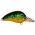STRIKE PRO SP.SP088.0210B