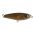 Trout FRY S / GA