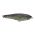 Trout FRY S / S