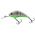 Vobler Salmo Rattlin Hornet , Floating, Ghost Perch 