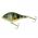 Voblere Dorado BLIK S / GPH