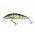 Voblere Dorado Classic S / P