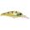 Wiggler Shad Max / C